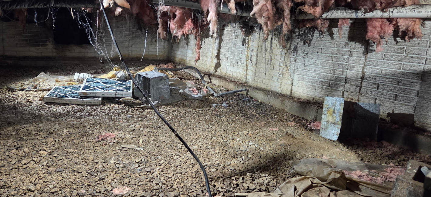 Damp, moldy space